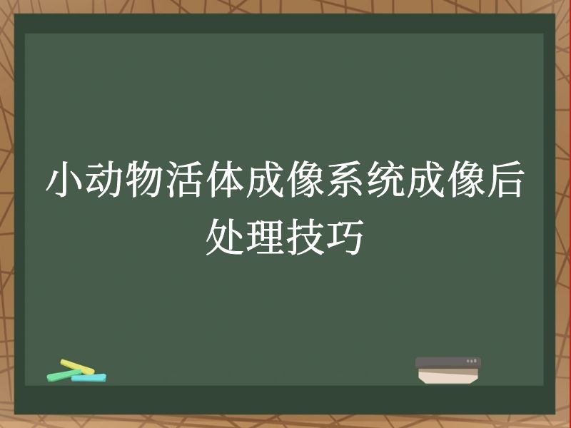 小动物活体成像系统成像后处理技巧
